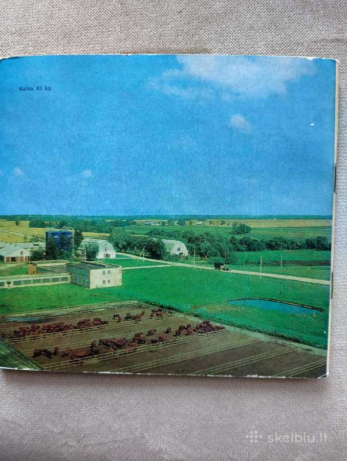 Elena Mezginaitė-panevėžio rajonas - nuotraukos Nr. 2