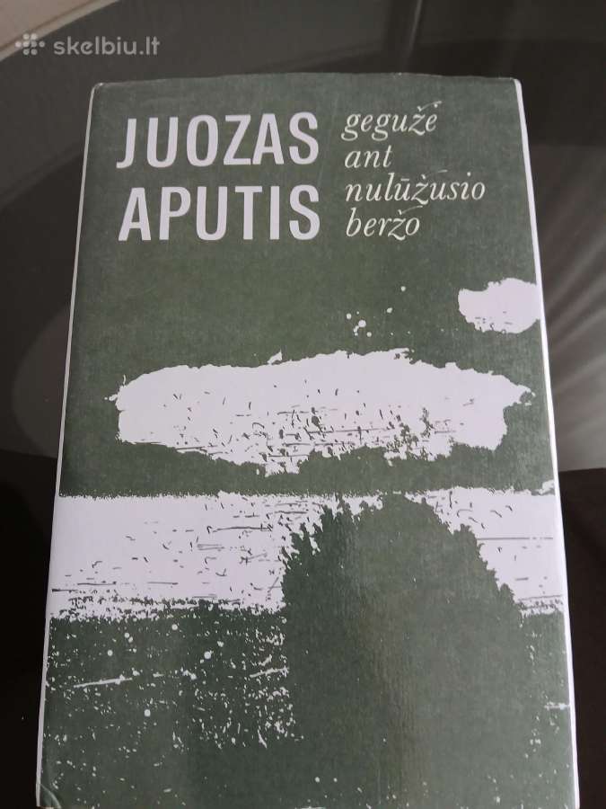 Gegužė ant Nulūžusio Beržo - Juozas Aputis 1986