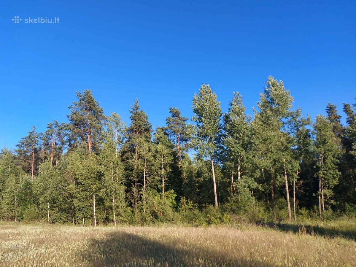 Parduodu sodybą