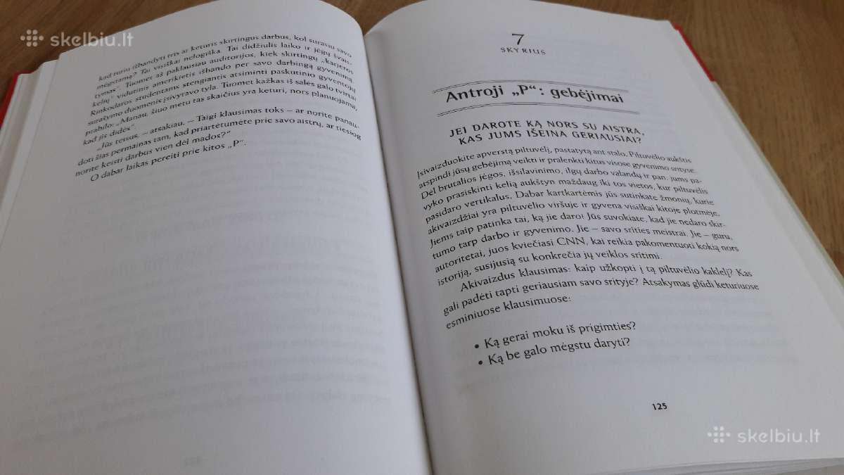Darbo aistra, kaip susirasti mėgstamą darbą - nuotraukos Nr. 3