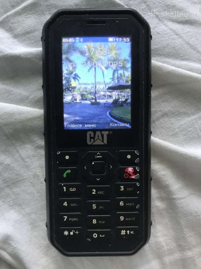 Cat B26
