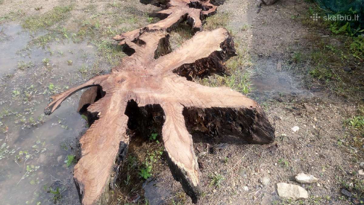 Džiovinti medžio ruošiniai ir storlentės - nuotraukos Nr. 5