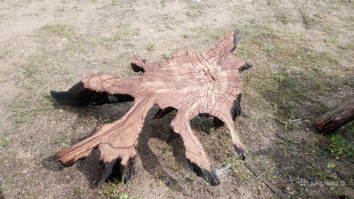 Džiovinti medžio ruošiniai ir storlentės - nuotraukos Nr. 7