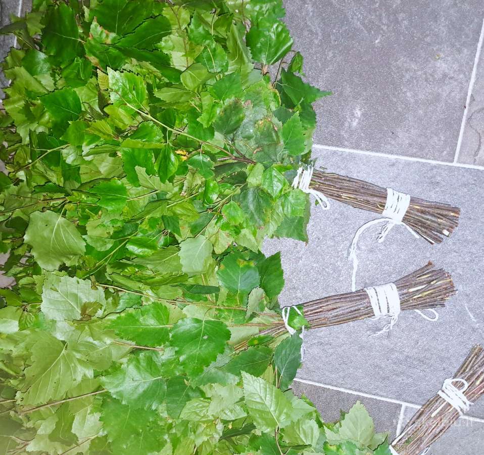 Beržinės ir ąžuolines vantos