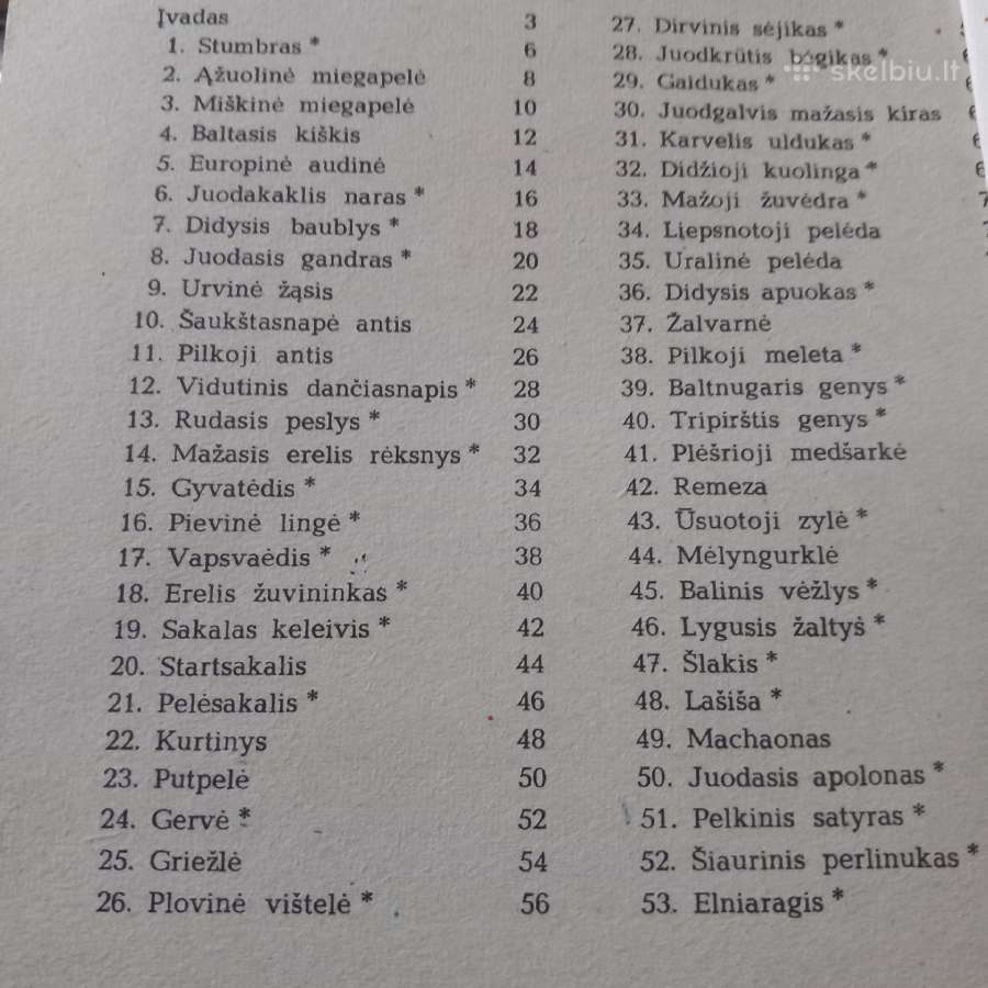 Jie neturi išnykti - nuotraukos Nr. 3