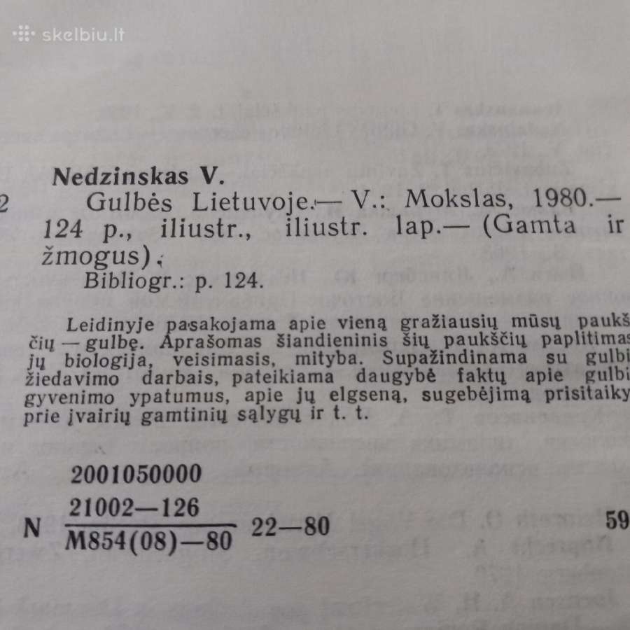 Gulbės Lietuvoje - nuotraukos Nr. 2