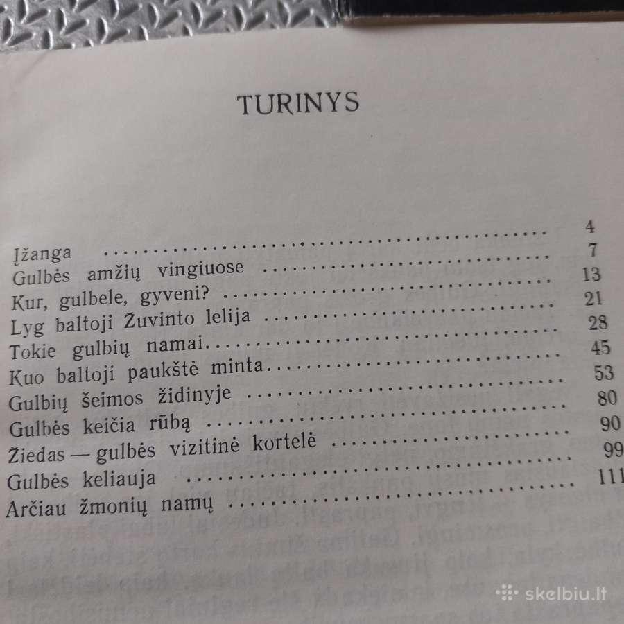 Gulbės Lietuvoje - nuotraukos Nr. 3