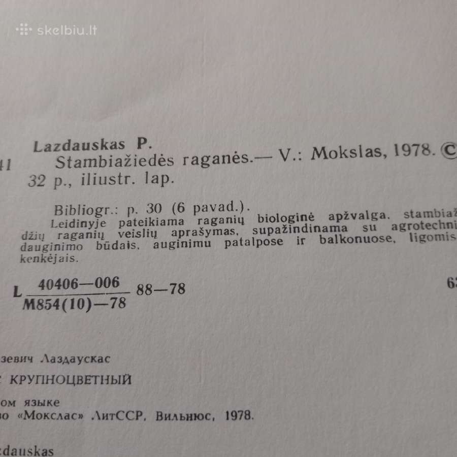 Stambiažiedės raganės - nuotraukos Nr. 2