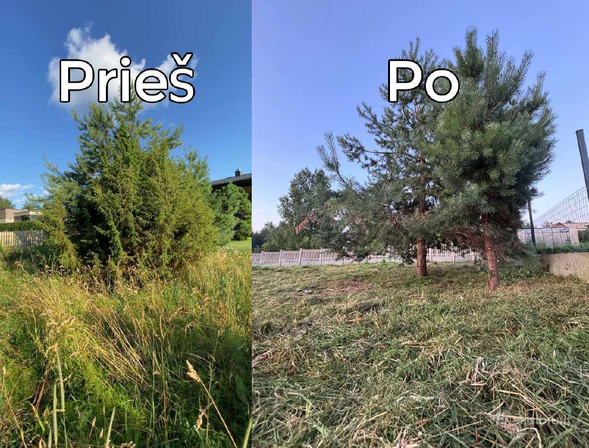 Žolės pjovimas Vilniuje ir Vilniaus rajone - nuotraukos Nr. 22