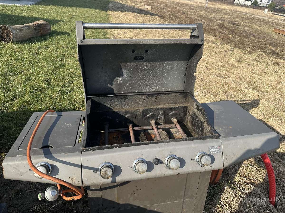 Griline kepsnine