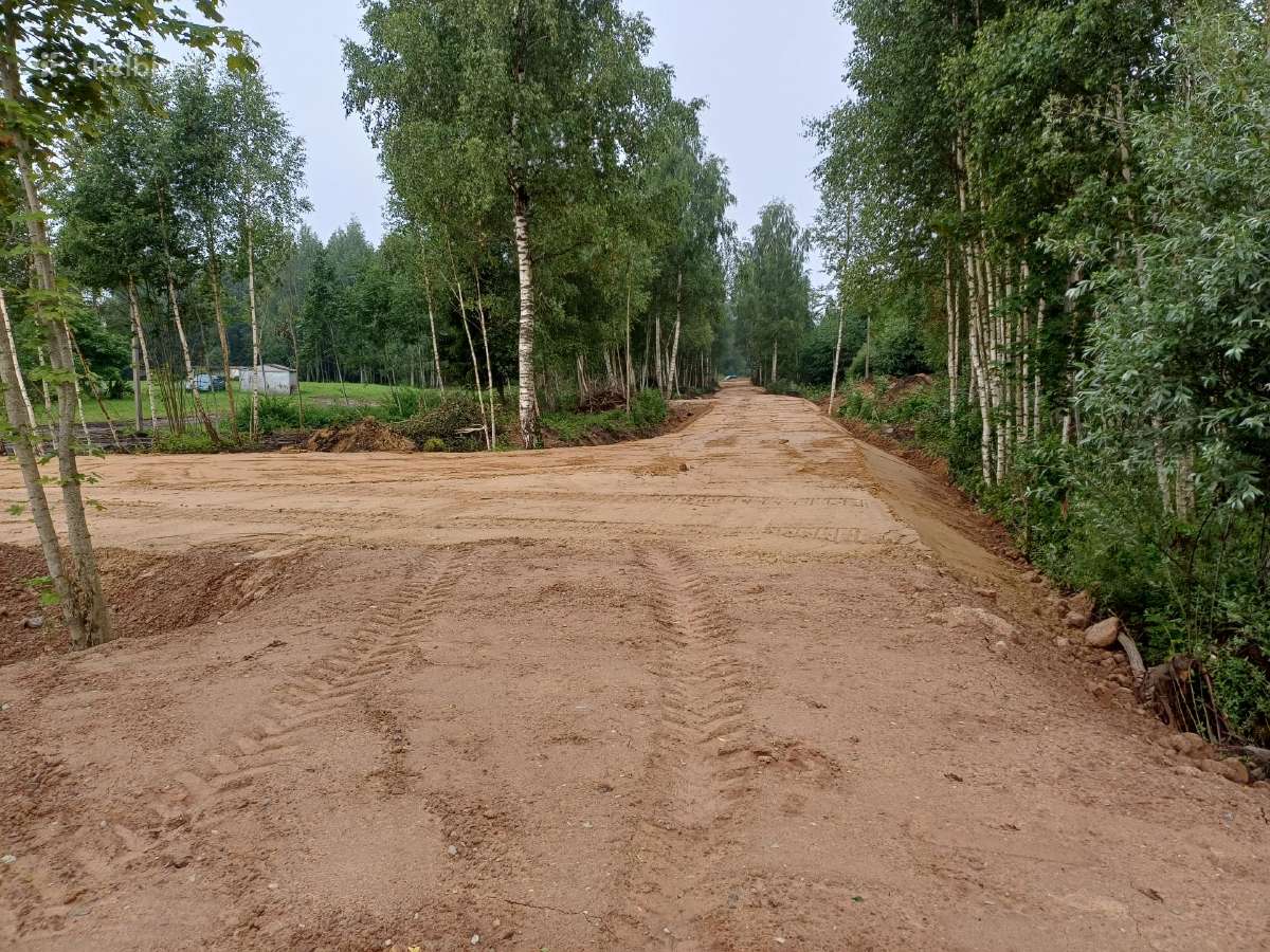 Tvenkinių kasimas,griovimo darbai,kiti žemėsdarbai - nuotraukos Nr. 29