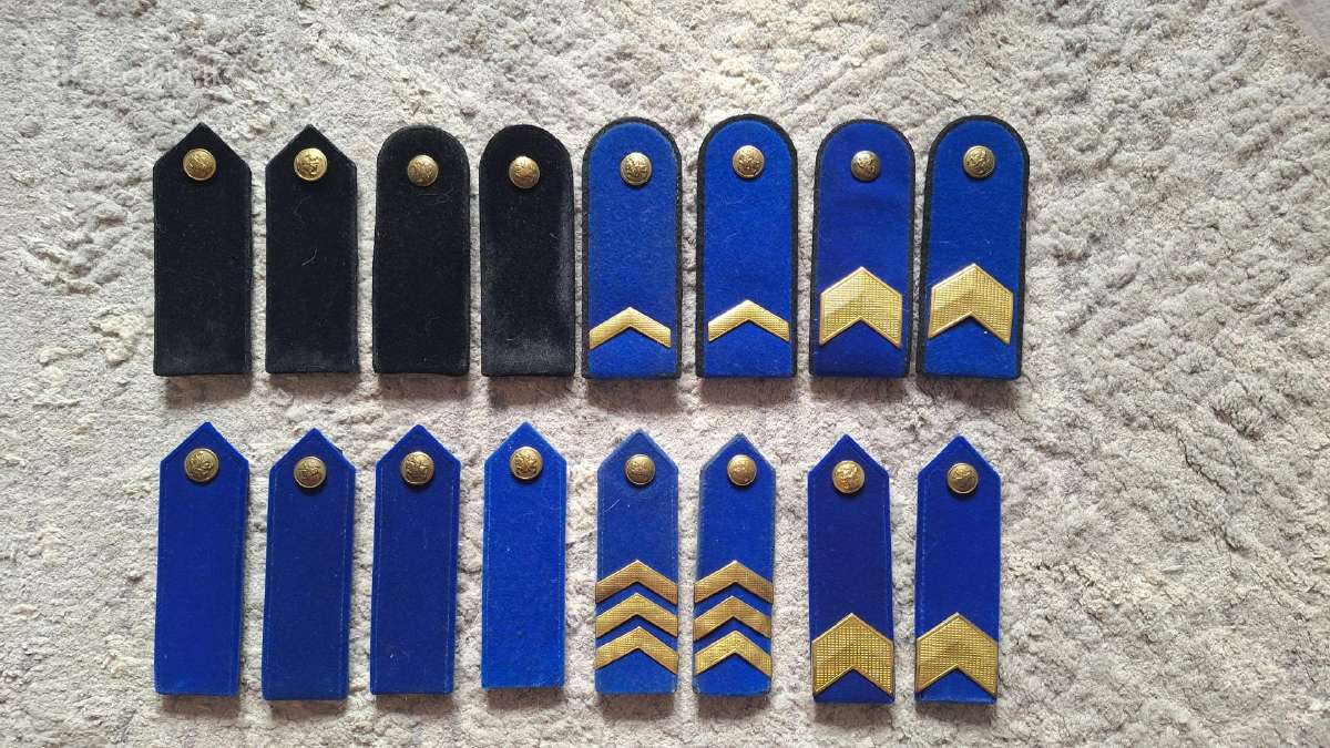 Vdaus tarnybos antpeciai 2