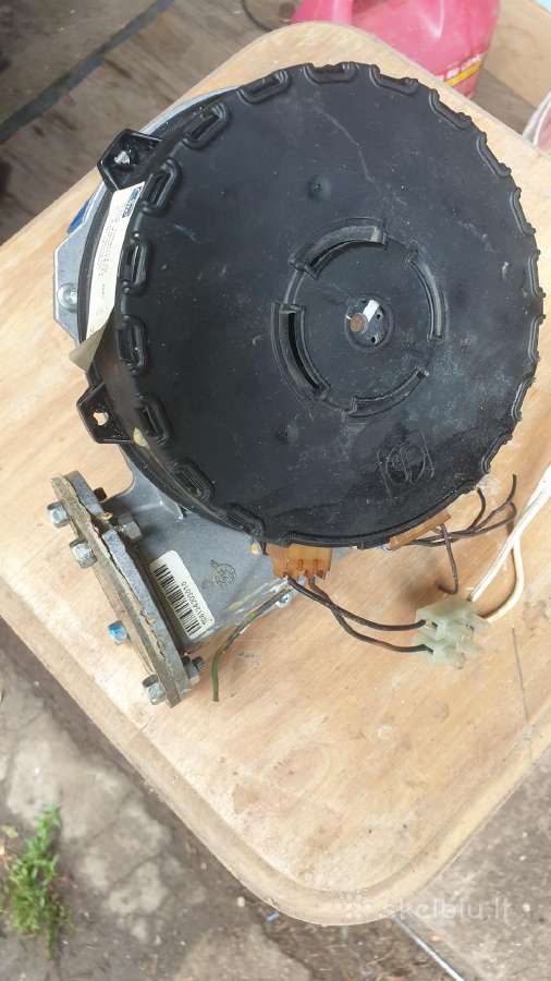 Turbina orui