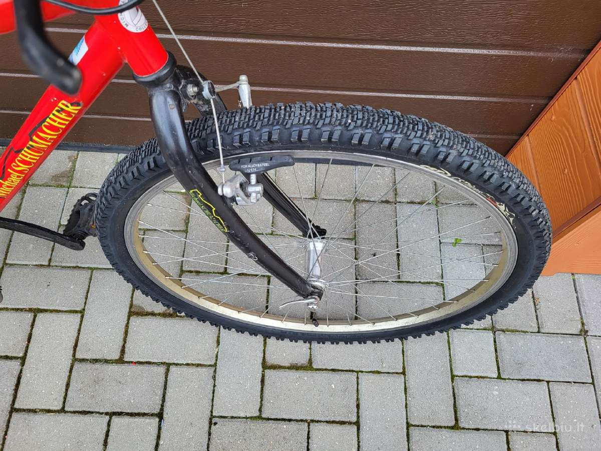 Dviratis Michael Schumacher Bicycle - nuotraukos Nr. 3