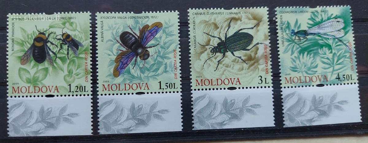 Moldova 2009 vabzdžiai, švarus Michel.nr. 659-662