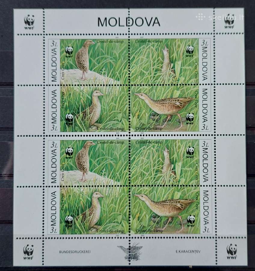 Moldova 2001 Wwf paukščiai , švarus, lapelis Miche
