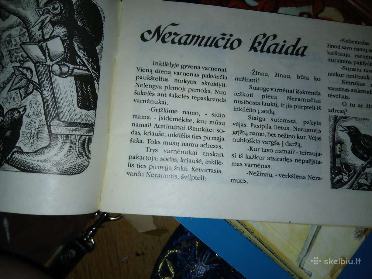 Pirmieji žingsneliai - nuotraukos Nr. 4