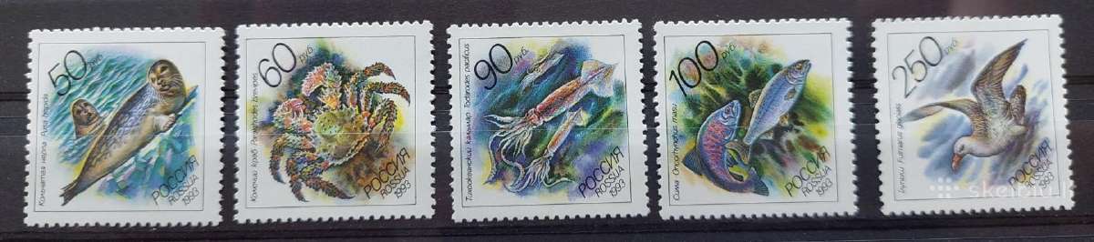 Rusija 1993 jūros fauna, švarus Michel Nr.323-327
