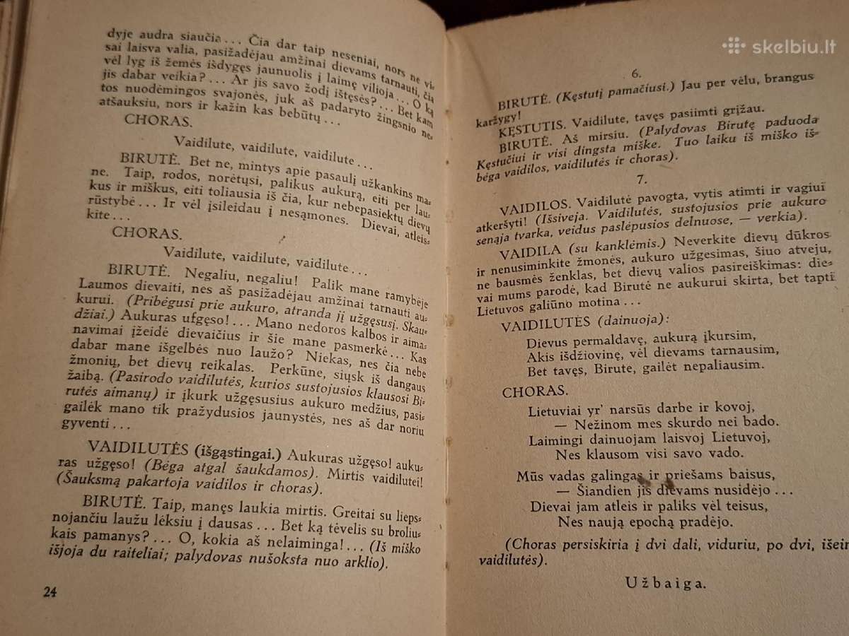 Vaidilutės likimas - nuotraukos Nr. 8
