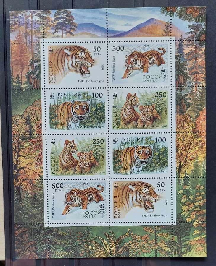 Rusija 1993 Wwf tigrai, švarus lapelis Michel Nr.3