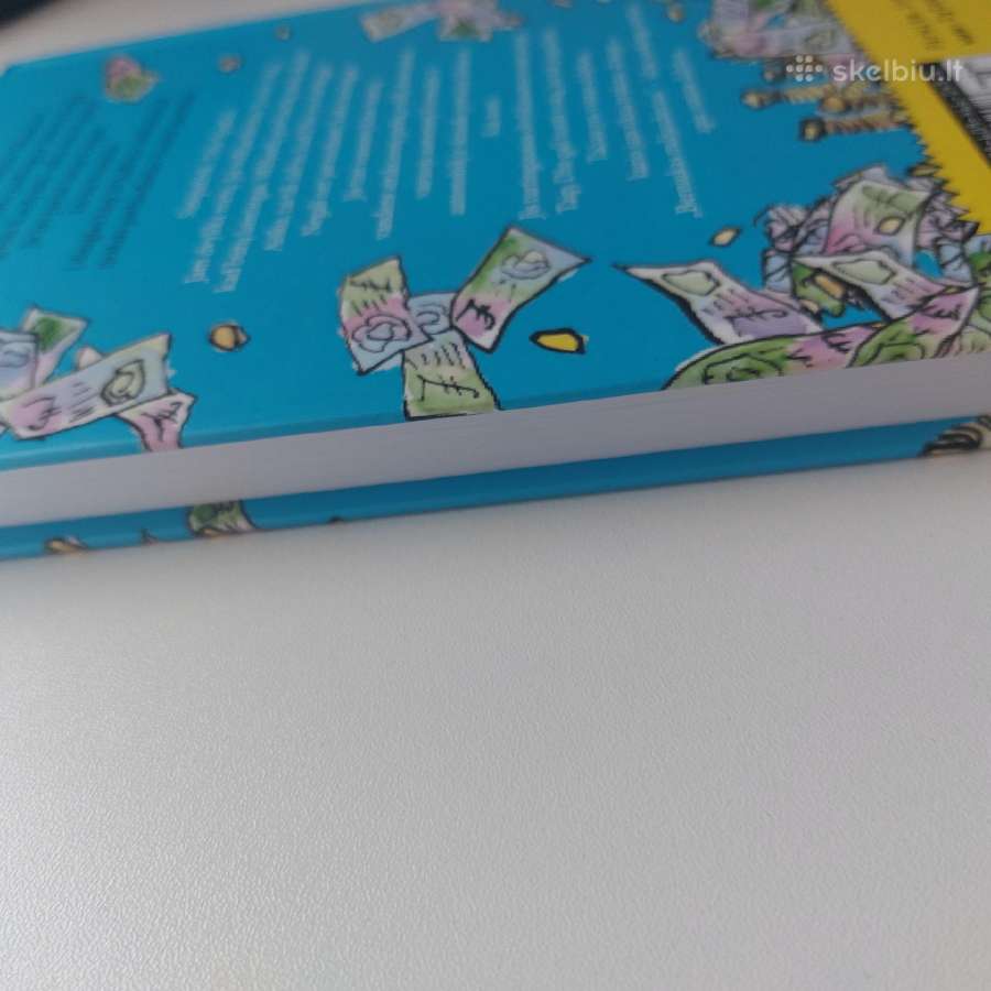 Knyga "Berniukas milijardierius". David Waliams - nuotraukos Nr. 6