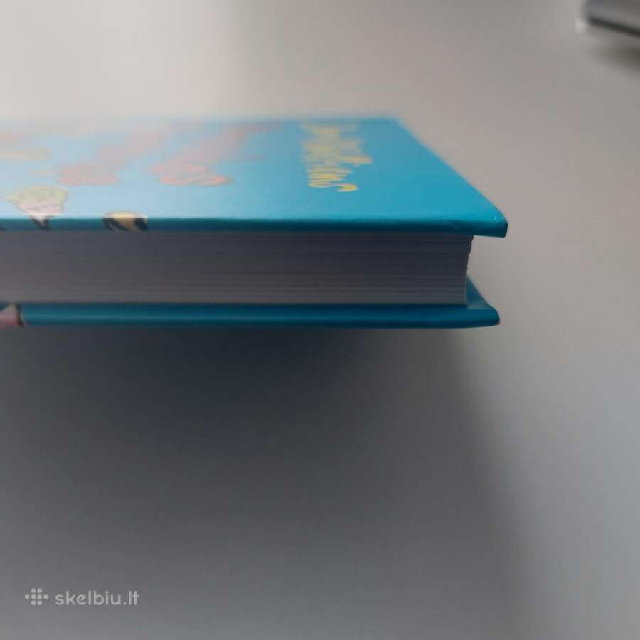 Knyga "Berniukas milijardierius". David Waliams - nuotraukos Nr. 7