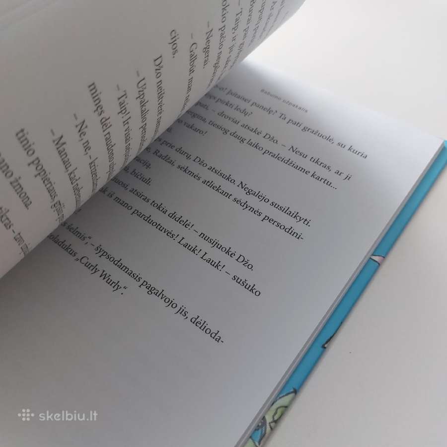 Knyga "Berniukas milijardierius". David Waliams - nuotraukos Nr. 8