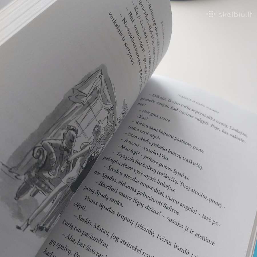 Knyga "Berniukas milijardierius". David Waliams - nuotraukos Nr. 10