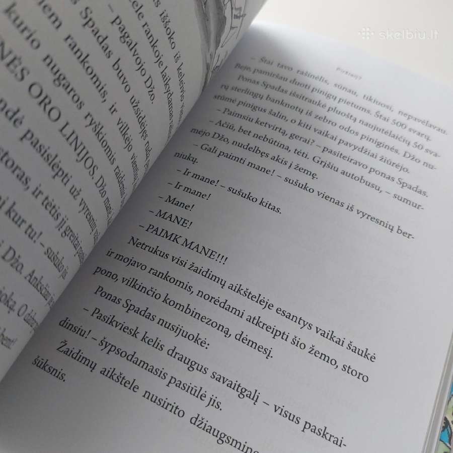 Knyga "Berniukas milijardierius". David Waliams - nuotraukos Nr. 11