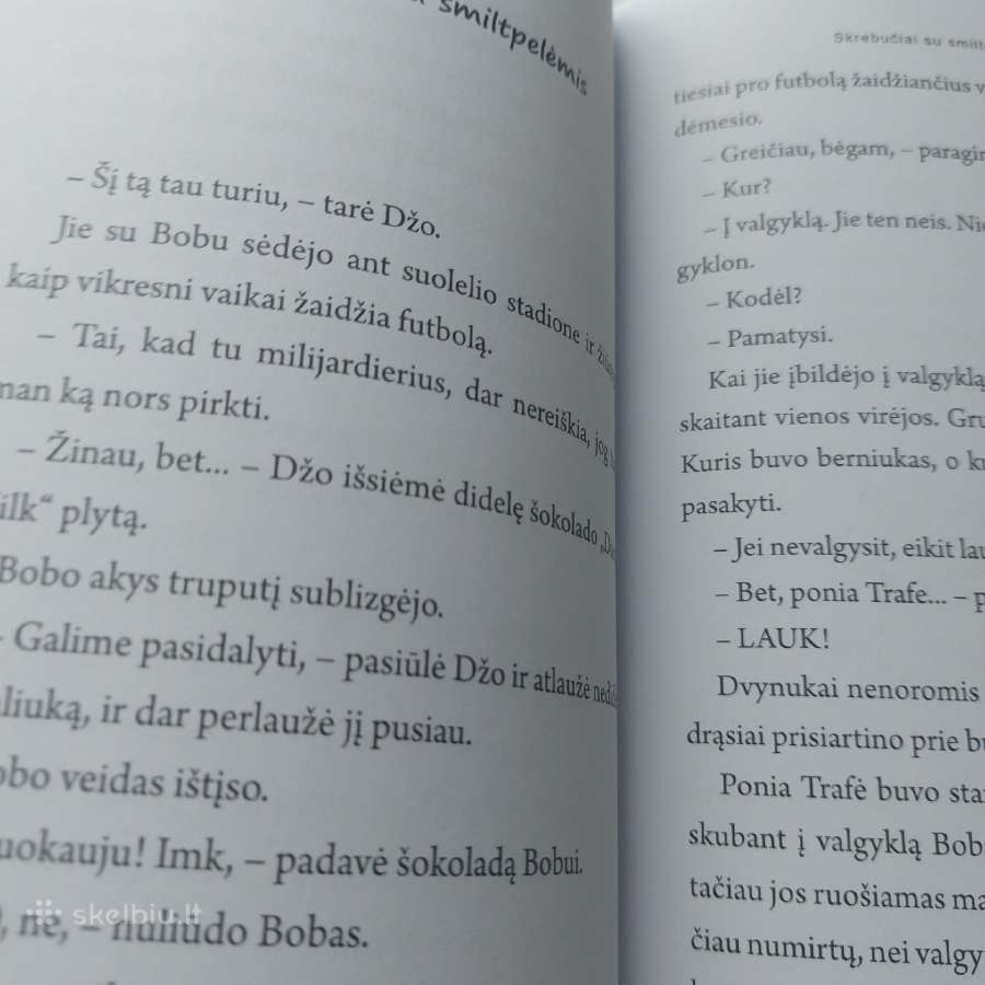 Knyga "Berniukas milijardierius". David Waliams - nuotraukos Nr. 12