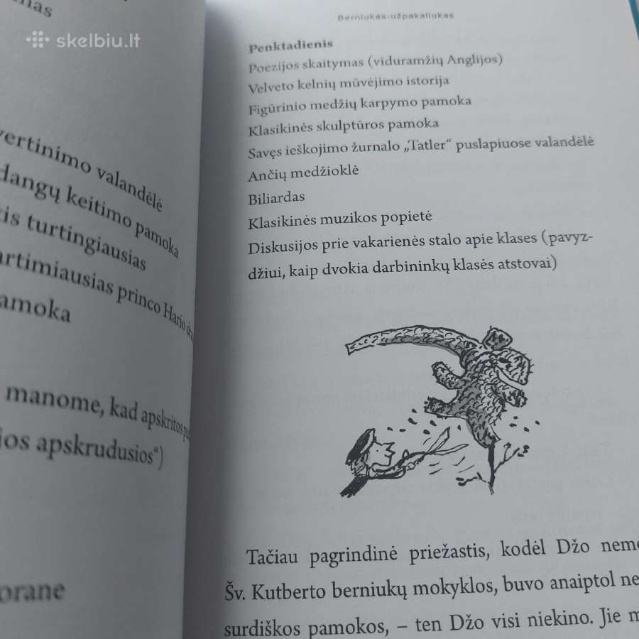 Knyga "Berniukas milijardierius". David Waliams - nuotraukos Nr. 13