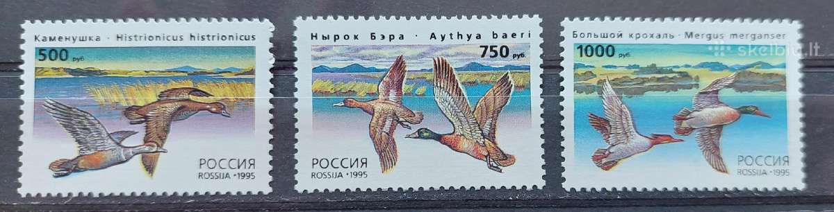 Rusija 1995 antis, švarus Michel Nr.462-464