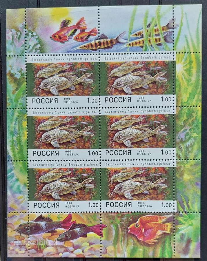 Rusija 1998 žuvis, švarus, lapelis Michel Nr.648