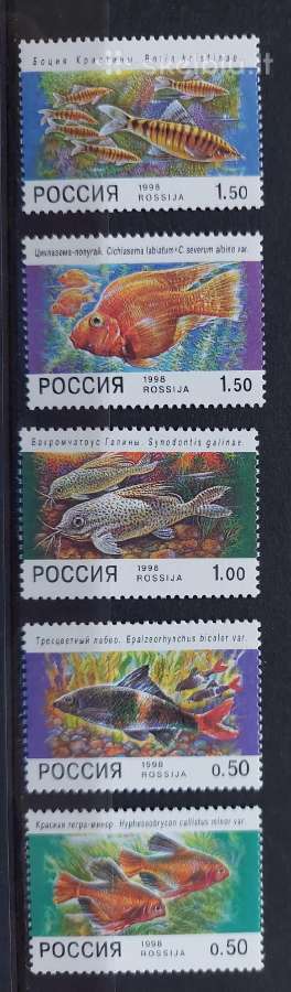 Rusija 1998 žuvis, švarus, Michel Nr.646-650
