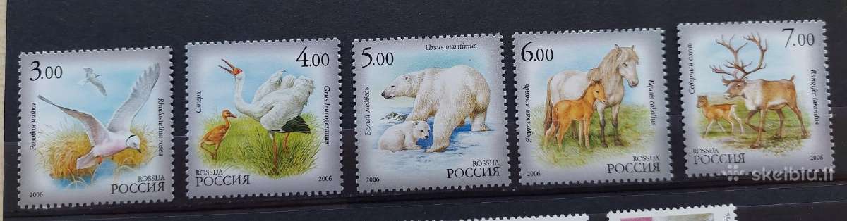 Rusija 2006 fauna, švarus, Michel Nr.1372-1376