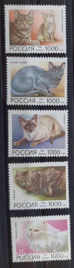 Rusija 1996 kates, švarus, Michel Nr.485-489