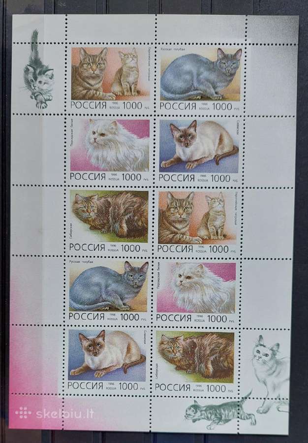 Rusija 1996 kates, švarus,lapelis Michel Nr.485-4