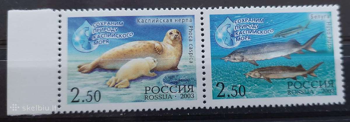 Rusija 2003 fauna, švarus,michel Nr.1118-1119