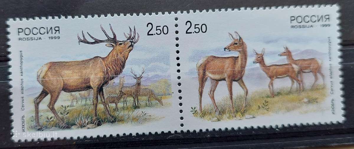 Rusija 1999 elniai, švarus,michel Nr.723-724