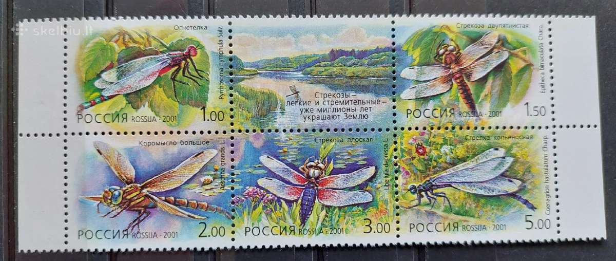 Rusija 2001 laumžirgiai, švarus,michel Nr.903-907