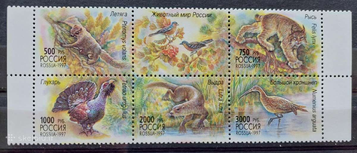 Rusija 1997 fauna, švarus,michel Nr.597-601