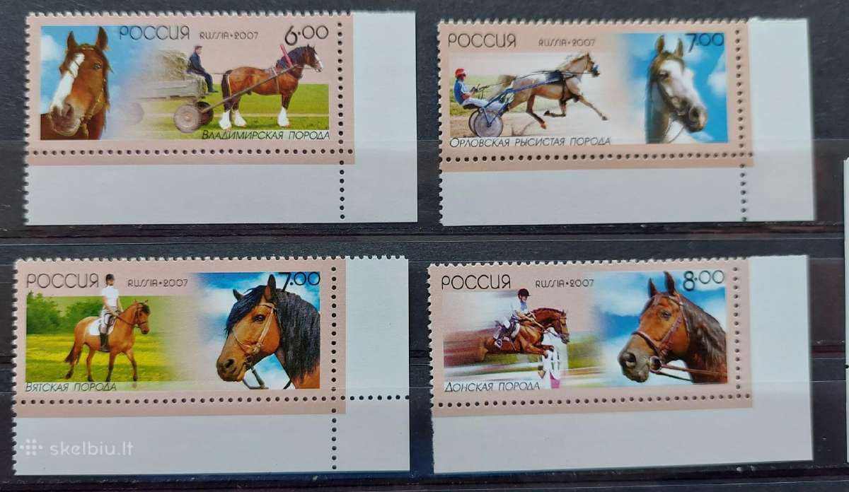 Rusija 2007 arklių sportas, švarus, Michel Nr.1441