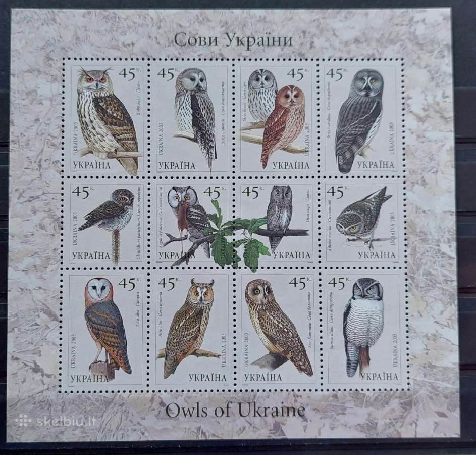 Ukraina 2003 apuokai, švarus,lapelis Michel Nr.57