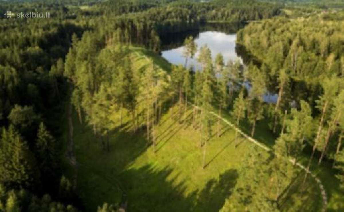 Sodyba kubilas pirtis 2-8asm tarp pušų - nuotraukos Nr. 20