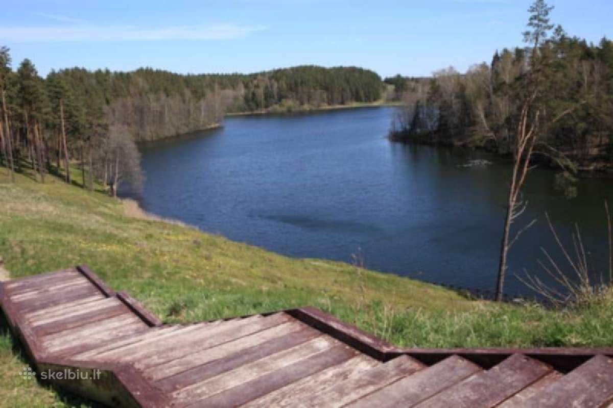 Sodyba kubilas pirtis 2-8asm tarp pušų - nuotraukos Nr. 21