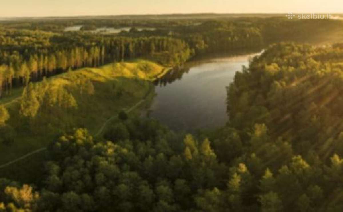Sodyba kubilas pirtis 2-8asm tarp pušų - nuotraukos Nr. 22