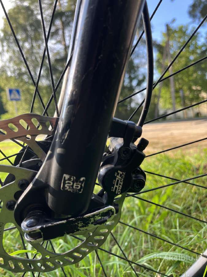 Giant revel - nuotraukos Nr. 7