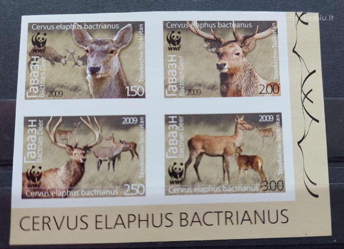 Tadžikistanas 2009 Wwf elniai, švarus,kvartblokas,