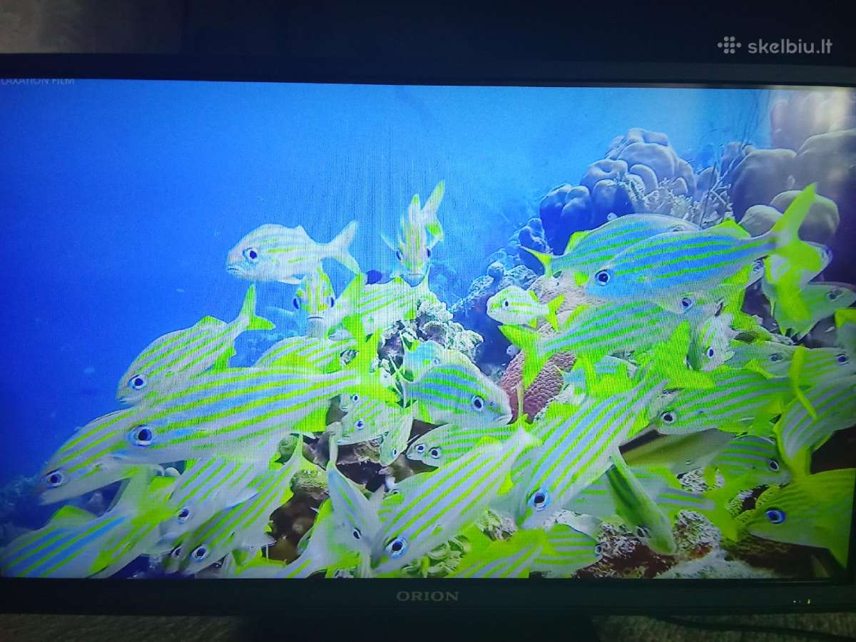 Orion Tv24lb995 LED 61cm. - nuotraukos Nr. 3