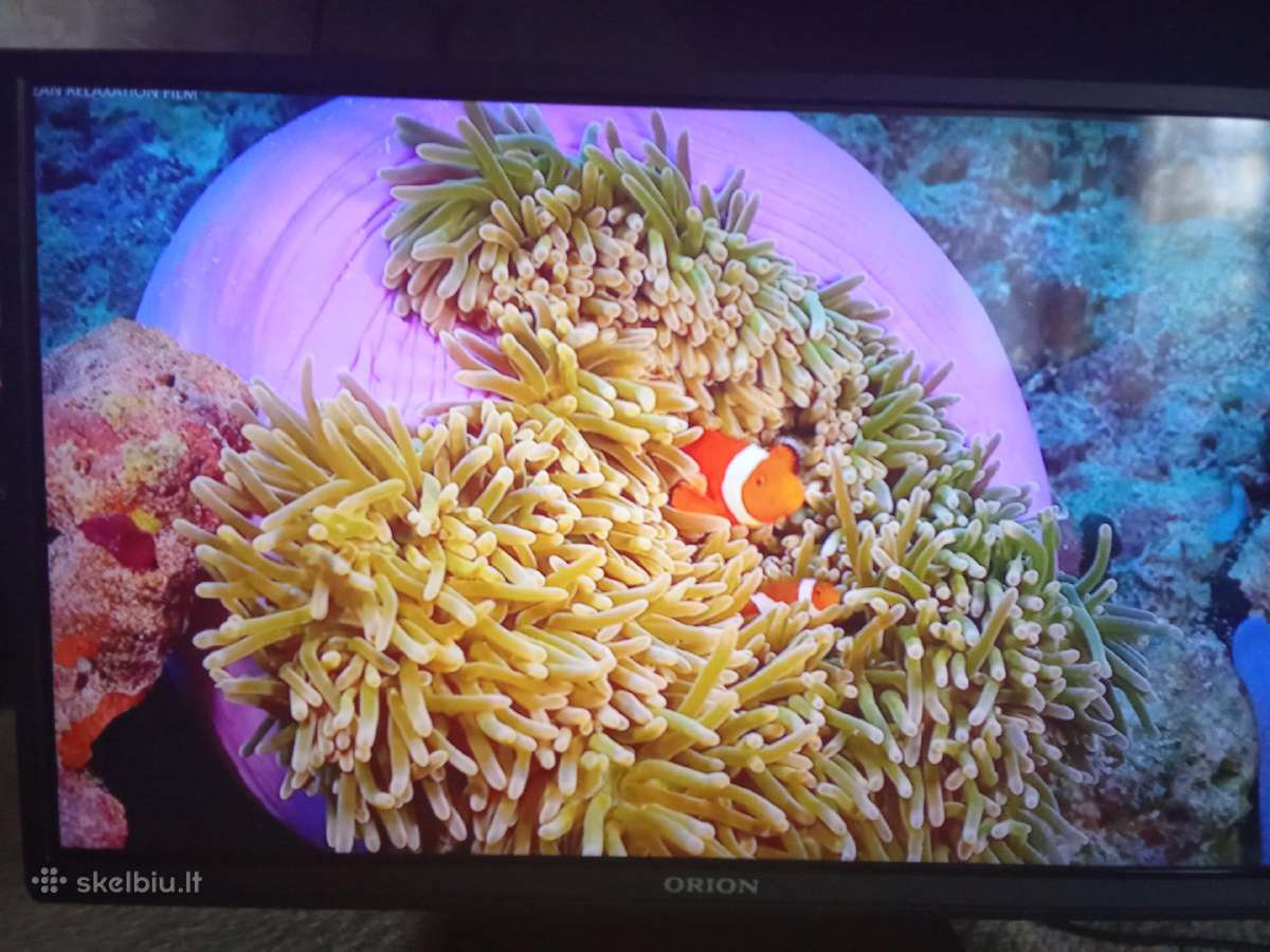 Orion Tv24lb995 LED 61cm. - nuotraukos Nr. 5